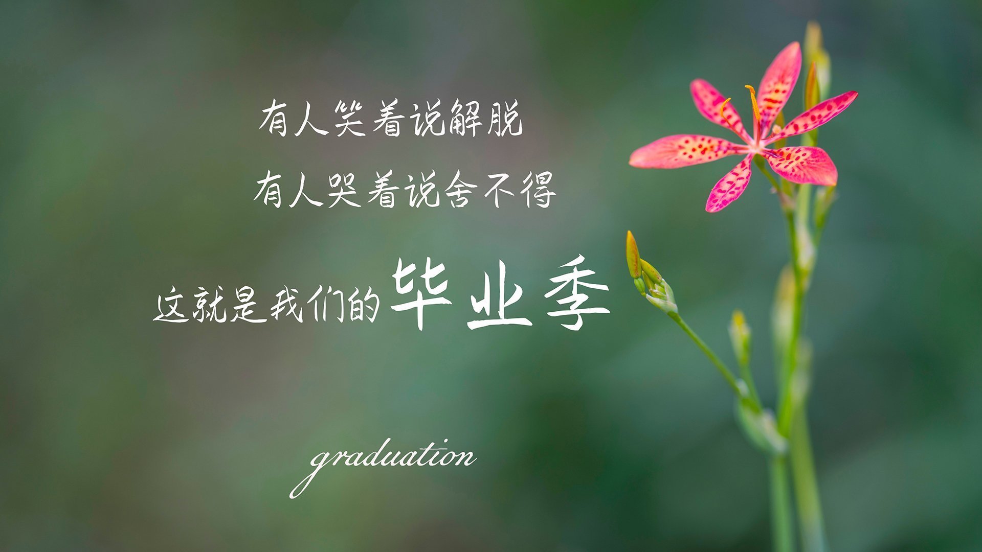 史上最“燃”季后赛夜战，谁的表现最震撼？，季后赛饭堂夜