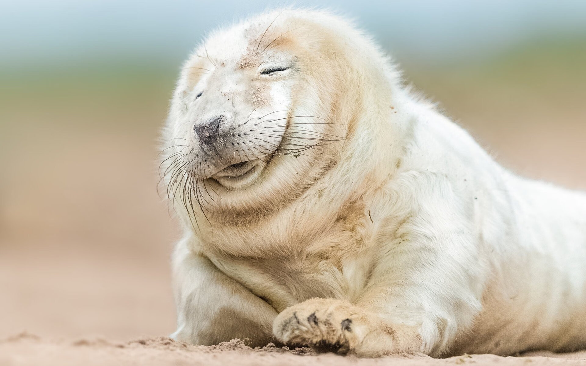 爱游戏app-卡利亚里防守稳固，逼平劲旅尤文图斯保持不败，尤文卡利亚里集锦