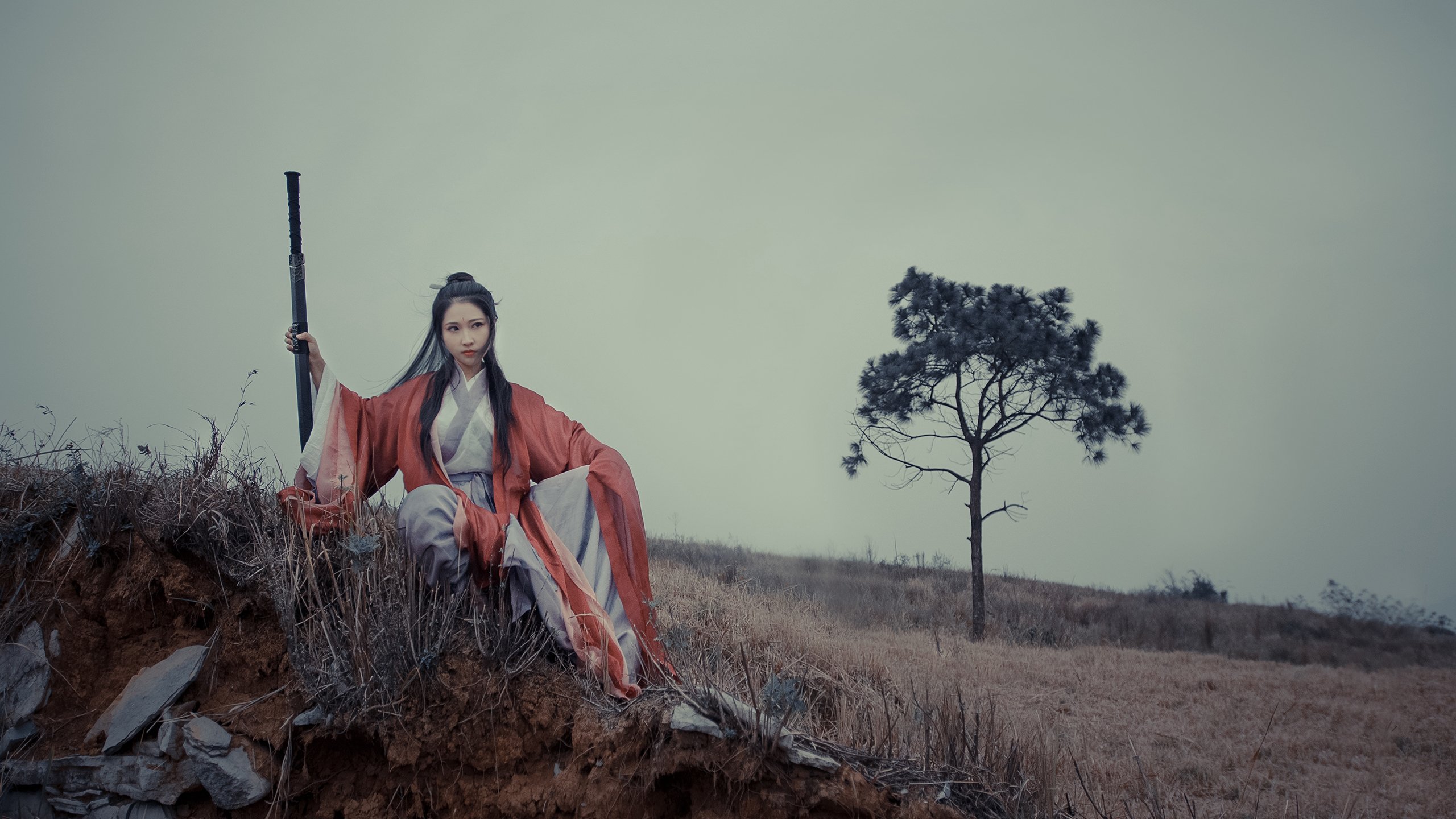 太阳队球队主场战绩稳步上升,太阳球队专区