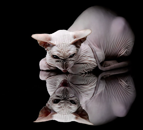 巴黎主帅战术调整有效,球队击败对手,巴黎fc主帅