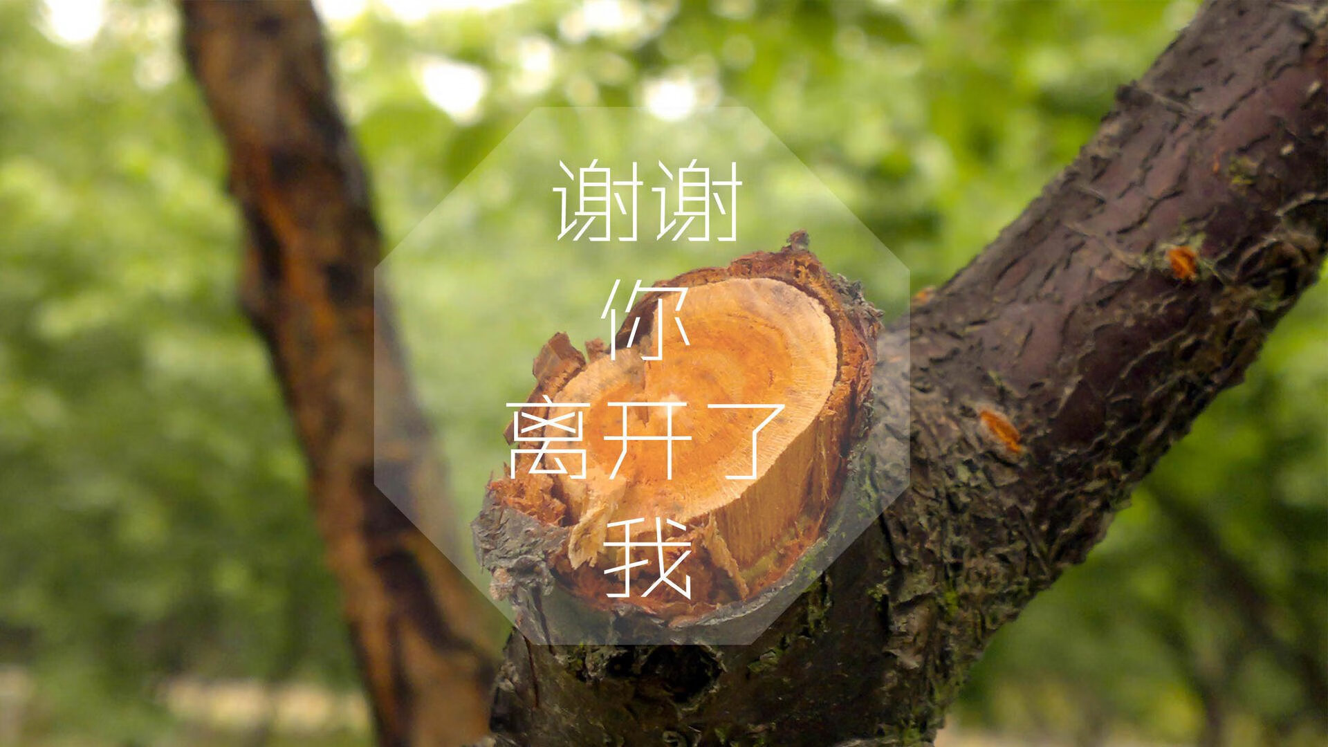 穿越火线 赛季末比赛竞争激烈，穿越火线季后赛赛制