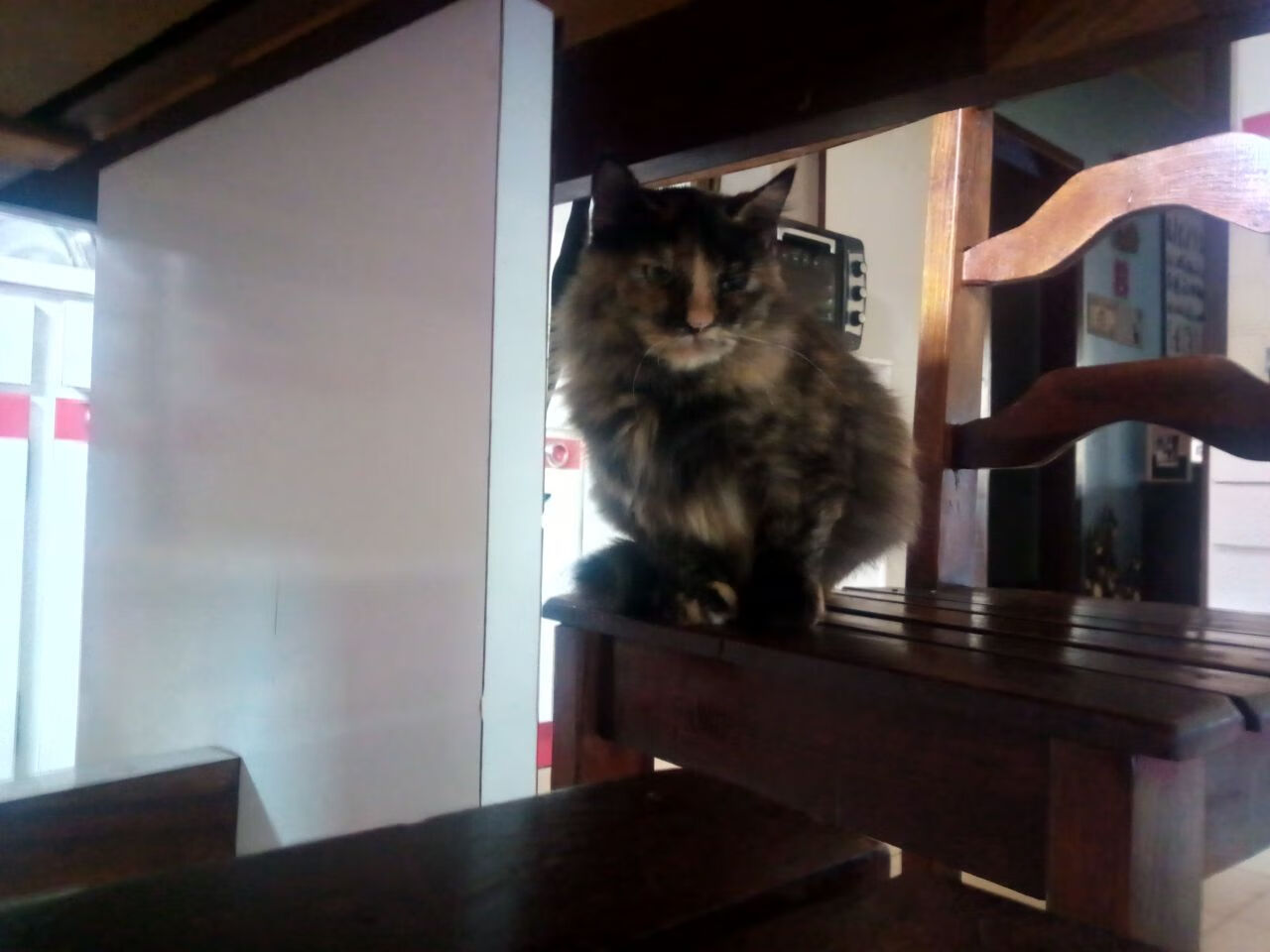 AYX官网-CBA转会制度对联赛活力影响几何，cba 转会