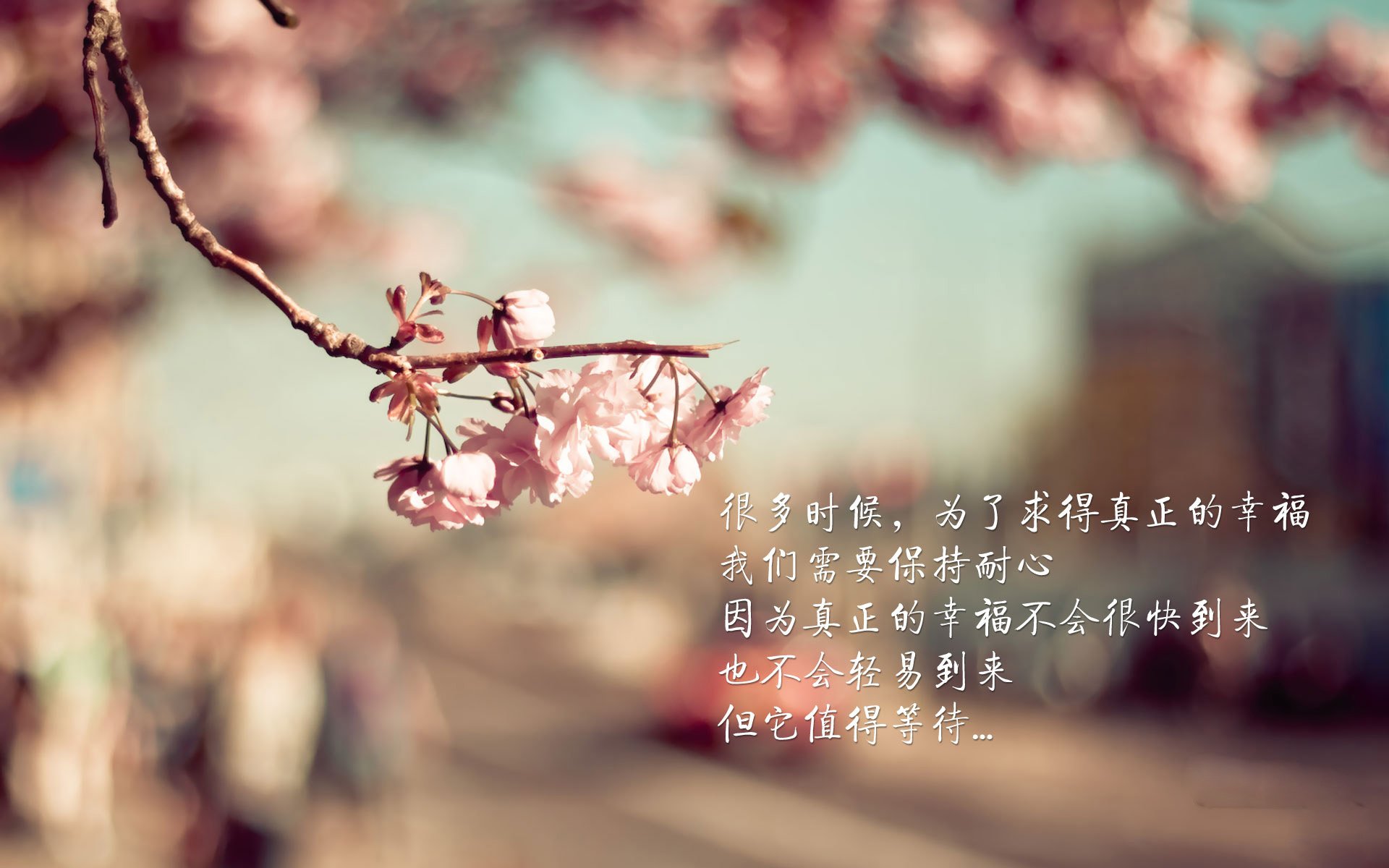 AYX官网-年轻后卫如何挑战豪门稳定防线地位，十大年轻中后卫