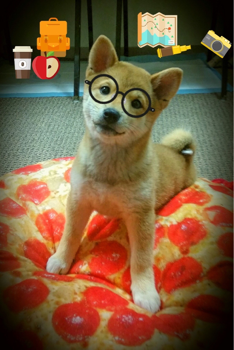 AYX体育官网-女足世界杯赛事票务策略，女足世界杯举办时间