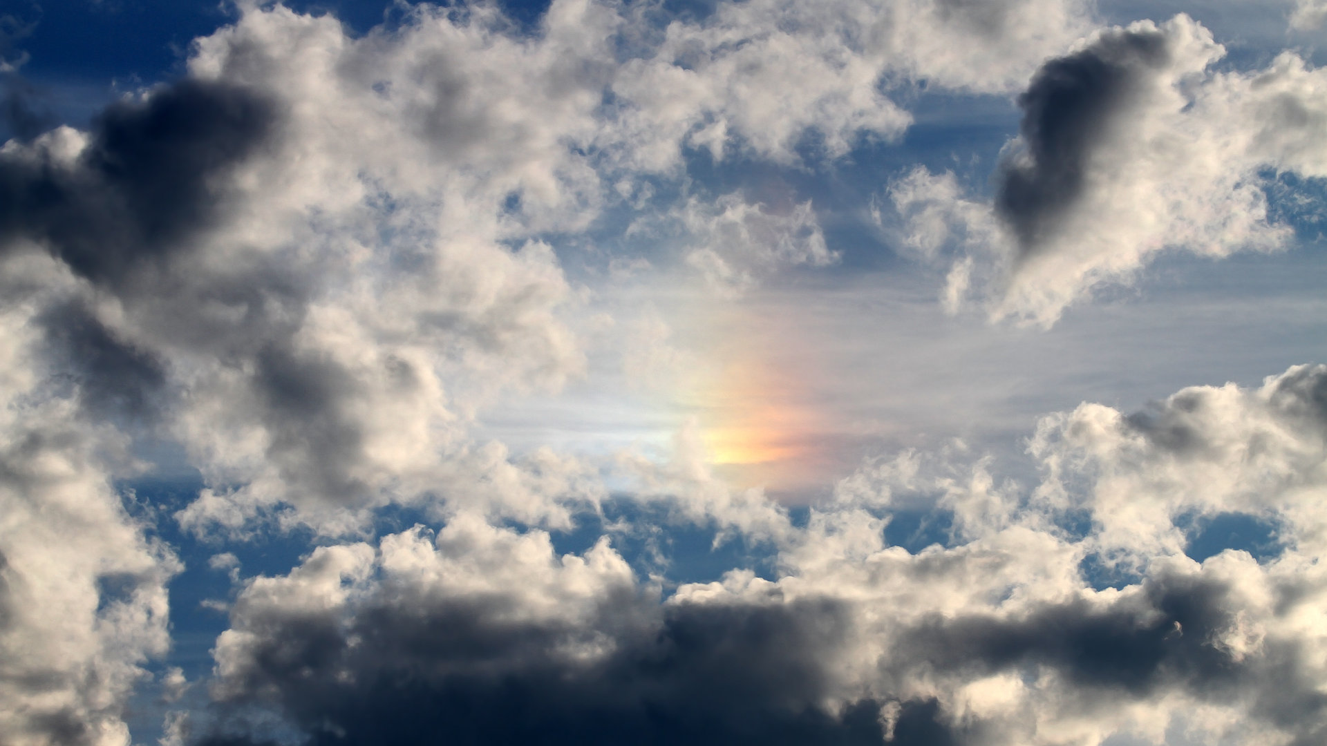 爱游戏在线登录入口-锡安统治内线鹈鹕战胜公牛，锡安nba百度百科