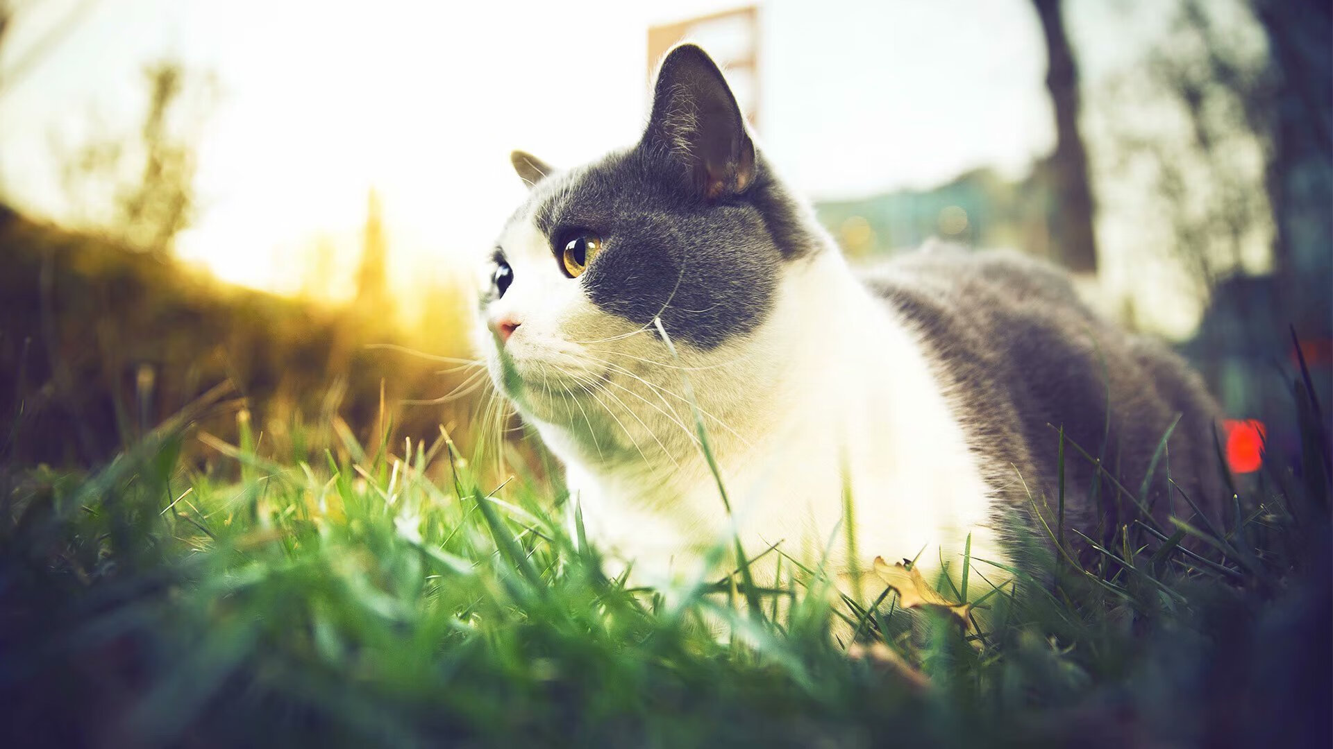 叶夫根尼娅·奇库诺娃决赛中展现顶尖耐力，叶夫根尼娅·伊万诺娃