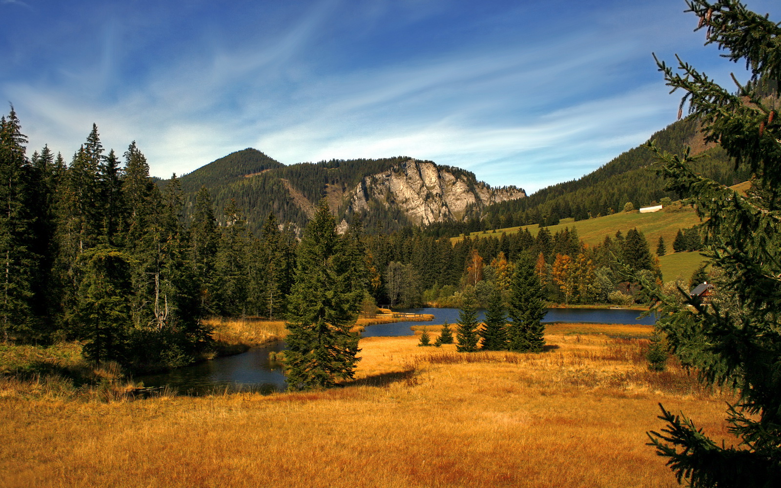 英超豪门争锋：场场激烈，精彩不停！，英超豪门俱乐部