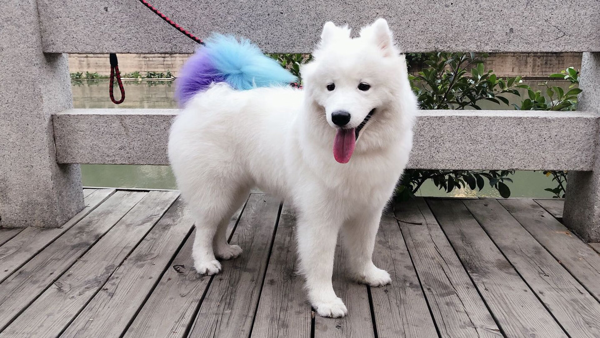 亚洲杯国足平局 球迷理性评价比赛，亚洲足球杯中国队