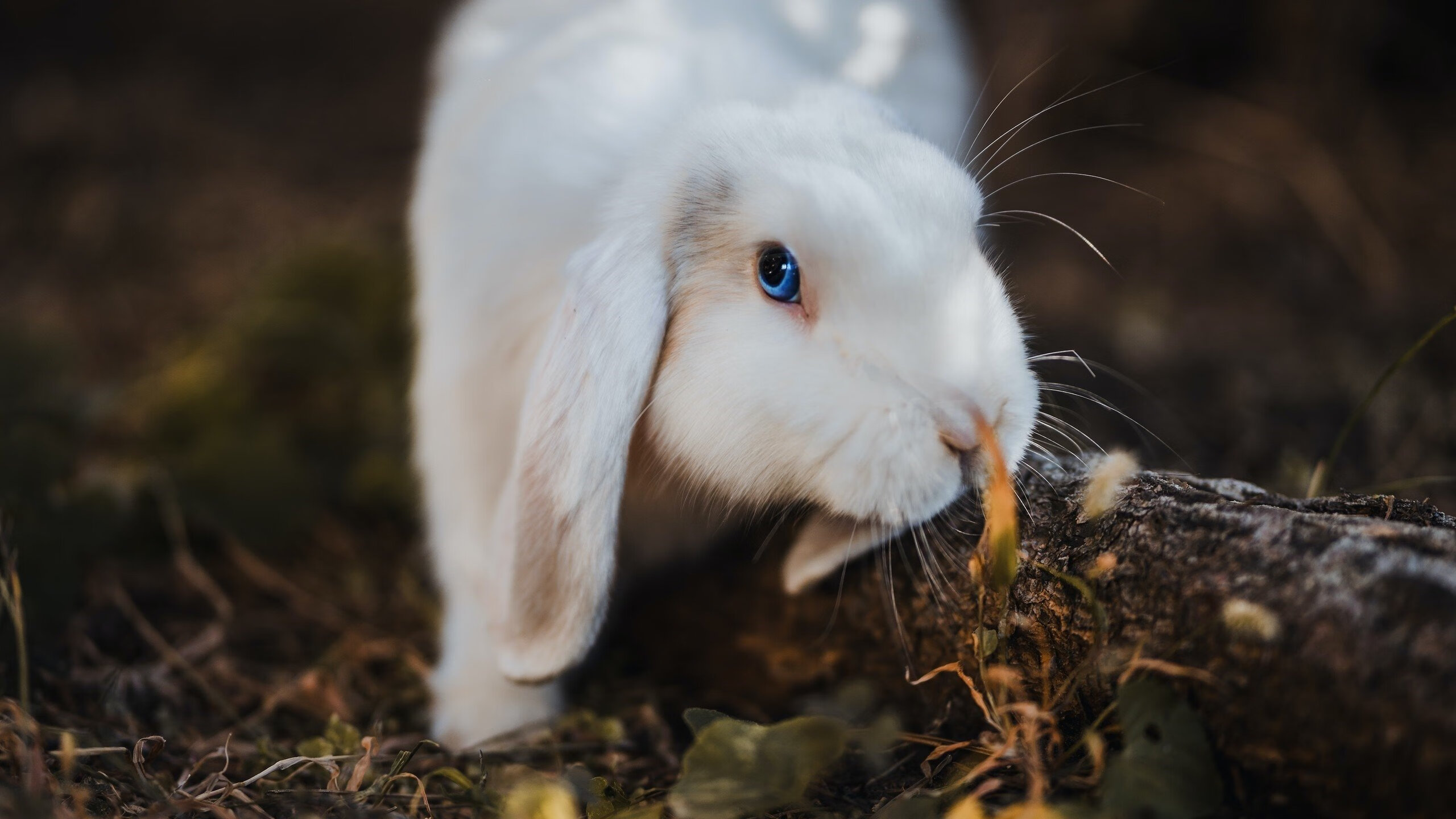 AYX体育官网-俱乐部人员流动管理机制缺口大，俱乐部人员管理制度