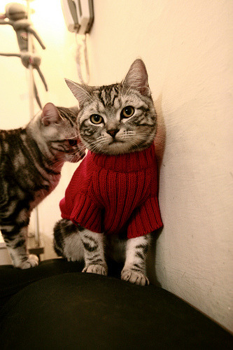 全运会场馆建设高标准完成，全运会场馆设置