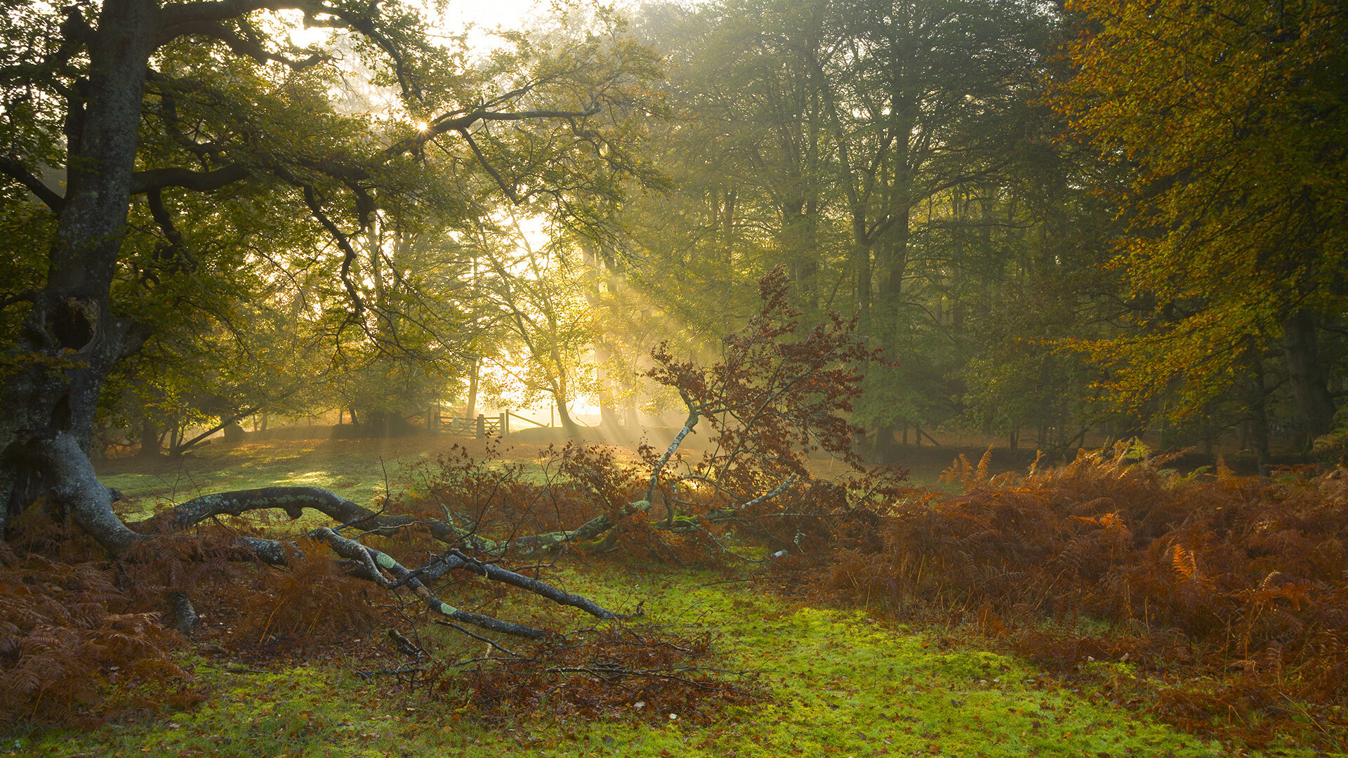 博卡尝试通过节奏变化打乱拜仁节奏未果，博卡的主场是哪个球场