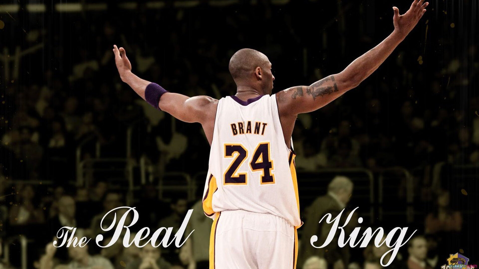 _荒漠淘金：在广袤沙丘中的耐力大比拼_，沙漠拓荒